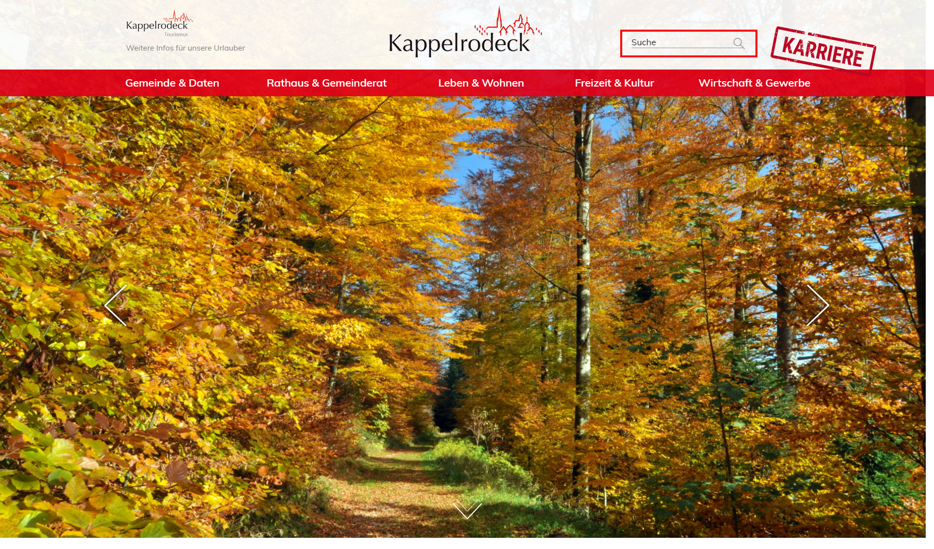 Suche auf der Startseite