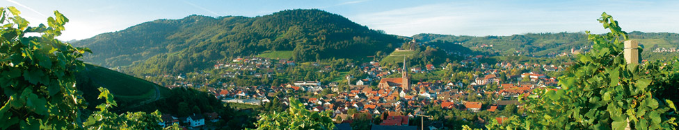 Steuern, Gebühren und Abgaben